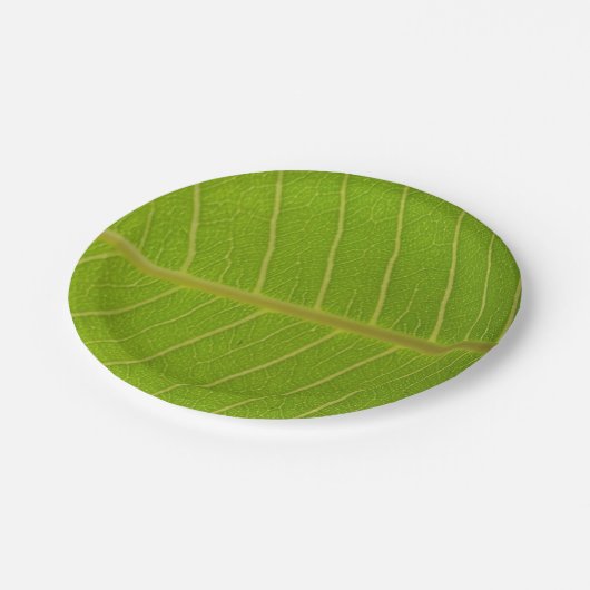 Natural Green Leaf and Light Yellow Line Design Pappteller (Schrägansicht)