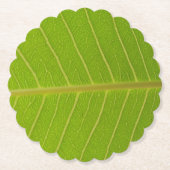 Natural Green Leaf and Light Yellow Line Design Untersetzer (Vorderseite)