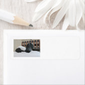 Natural History Museum, Ann Arbor, MI-Labels (Insitu)