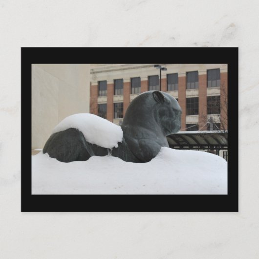 Natural History Museum, Ann Arbor, MI Postcard Postkarte (Vorderseite)