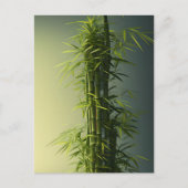 Natural Lucky Bamboo Postkarte (Vorderseite)