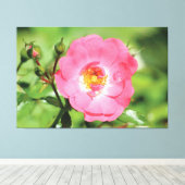 Natural Pink Garden Rose Leinwand (Insitu (Holzboden))