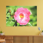 Natural Pink Garden Rose Leinwand (Insitu (Wohnzimmer))