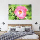 Natural Pink Garden Rose Leinwand (Insitu (Schlafzimmer))
