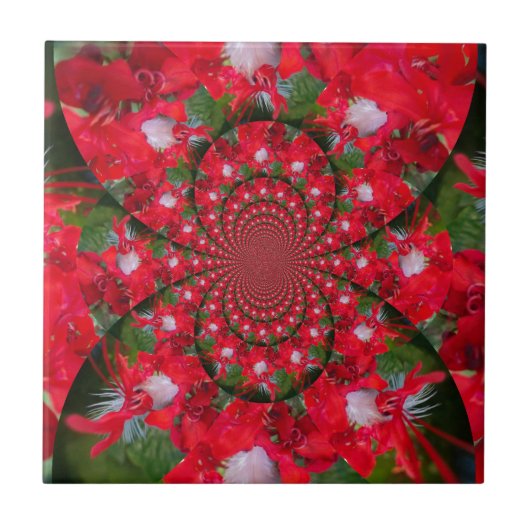 Natural Red Blume White Feather kaleidoscope art Fliese (Vorderseite)