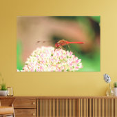 Natural Red Dragonfly Leinwanddruck (Insitu (Wohnzimmer))