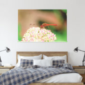 Natural Red Dragonfly Leinwanddruck (Insitu (Schlafzimmer))