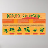 Natural Selection Poster (Vorne)