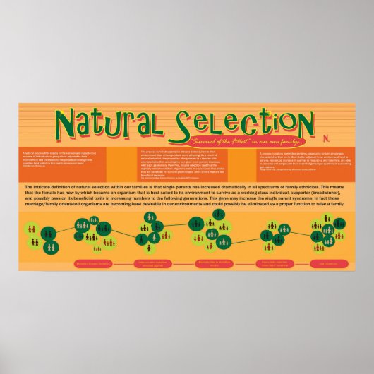 Natural Selection Poster (Vorne)