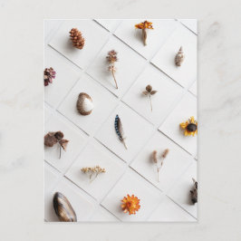 Natural Specimen Collection Minimalist Postkarte