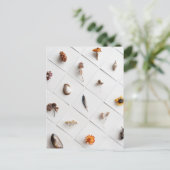 Natural Specimen Collection Minimalist Postkarte (Stehend Vorderseite)