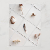 Natural Specimen Collection Minimalist Postkarte (Vorderseite)