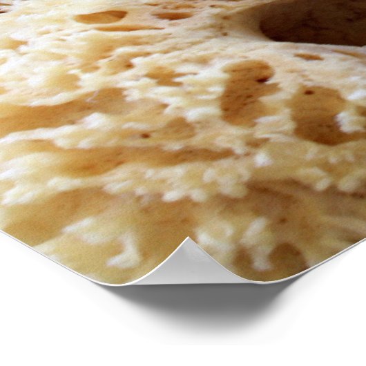 Natural Sponges Poster (Ecke)