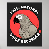 Natural Voice Recorder Poster (Vorne)