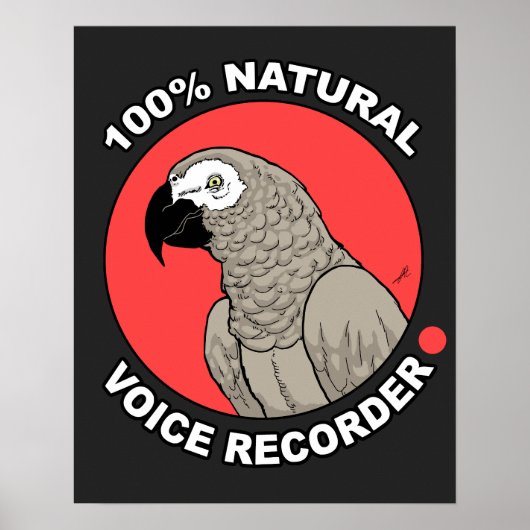 Natural Voice Recorder Poster (Vorne)