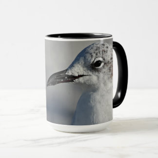 Natural White Laghing Gull Florida Fotografie Tasse