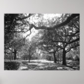 Naturarmee Poster (Vorne)