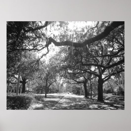 Naturarmee Poster (Vorne)