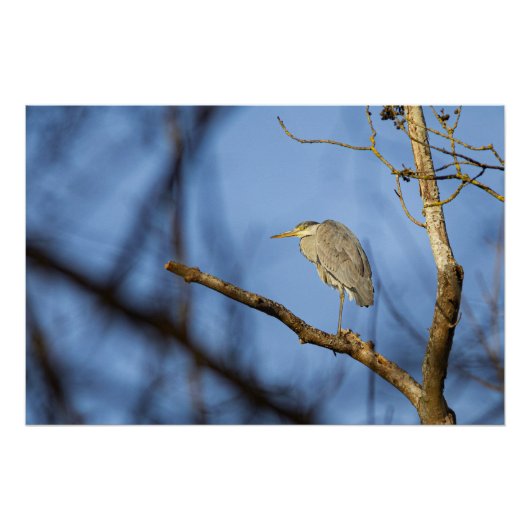 Naturbild des Bartherons Poster (Vorderseite)