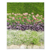 Naturblumengarten Fotodruck (Vorne)