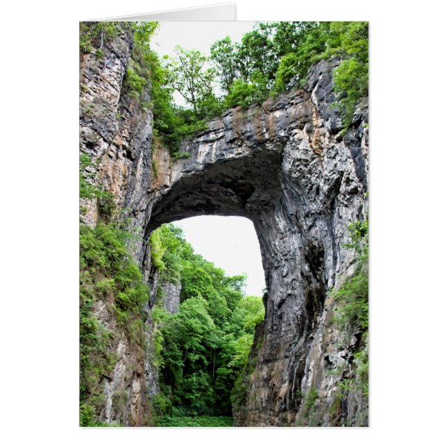 Naturbrücke (Vorne)
