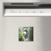 Naturbrücke Magnet (In Situ (Geschirrspüler))