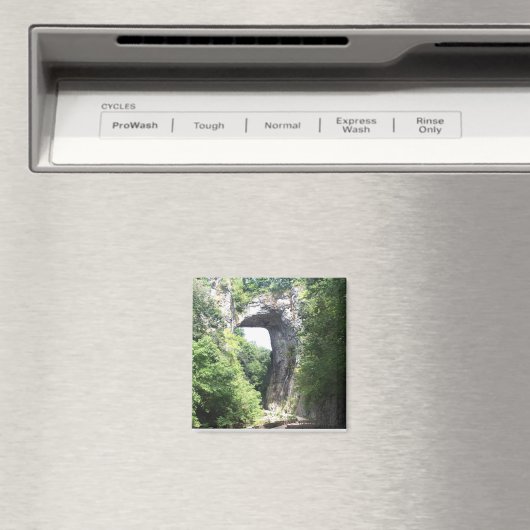 Naturbrücke Magnet (In Situ (Geschirrspüler))