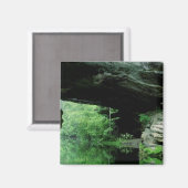 Naturbrücke, Pickett Staat Park, TN Magnet (Vorderseite/Rückseite)