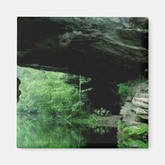 Naturbrücke, Pickett Staat Park, TN Magnet (Vorne)