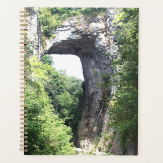 Naturbrücke Planer