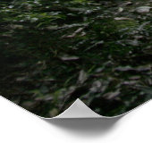 Naturbrücke Poster (Ecke)