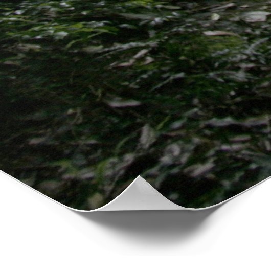 Naturbrücke Poster (Ecke)