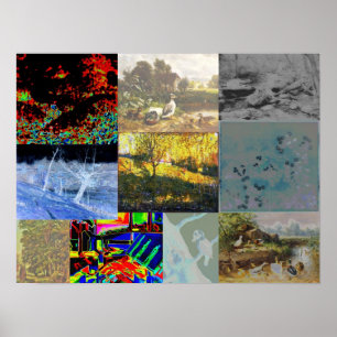 NaturCollage Poster