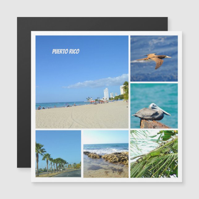 Naturcollage von San Juan, Puerto Rico Magnet (Vorne/Hinten)