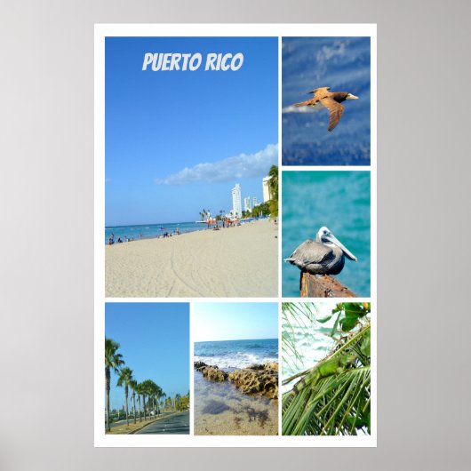 NaturCollage von San Juan, Puerto Rico Poster (Vorne)