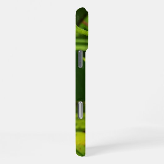 NaturCraze Brown Grasshopper iPhone Gehäuse iPhone Hülle (Rechte Seite)