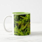 NaturCraze Tasse (Links)