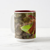 NaturCraze Tasse Rot und Schwarz (Vorderseite Links)