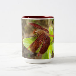 NaturCraze Tasse Rot und Schwarz