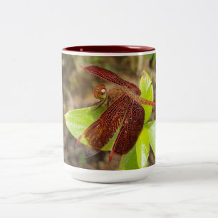 NaturCraze Tasse Rot und Schwarz