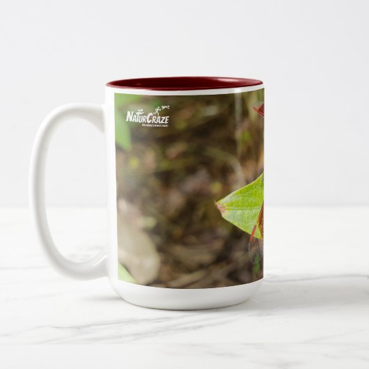 NaturCraze Tasse Rot und Schwarz (Links)