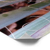 Naturdekorationen Poster (Ecke)