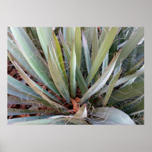 Naturdekorationen Poster