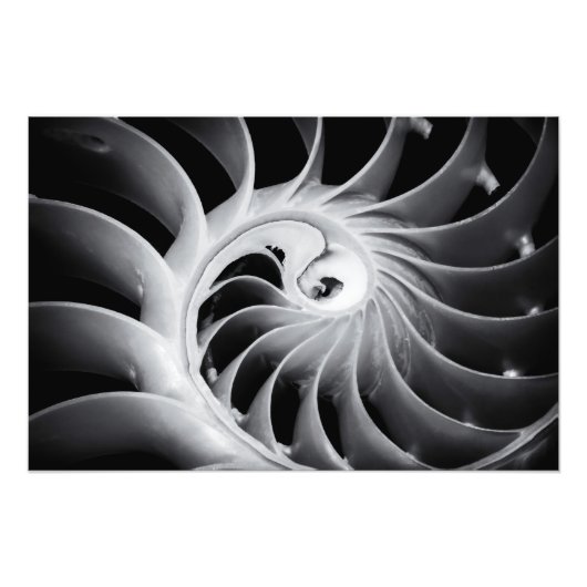 Naturdesign Fotodruck (Vorne)