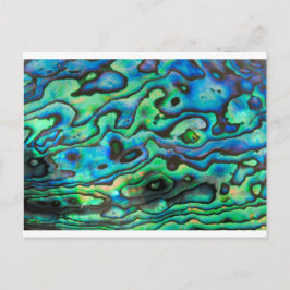 Naturdesign paua abalone Muschel Postkarte