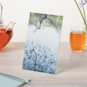 NATURDESIGN SOCKELSCHILD (In SItu)