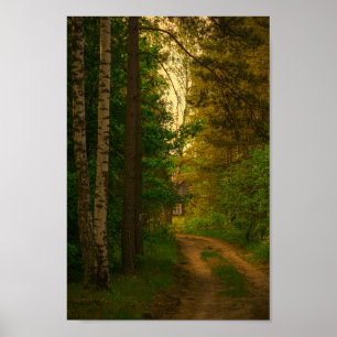 Naturdorf Hüttenwald Weißrussland Poster