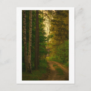 Naturdorf Hüttenwald Weißrussland Postkarte