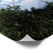 Nature Alaska Denali Landschaft Foto Poster (Ecke)