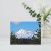 Nature Alaska Denali Landschaft Foto Postkarte (Stehend Vorderseite)